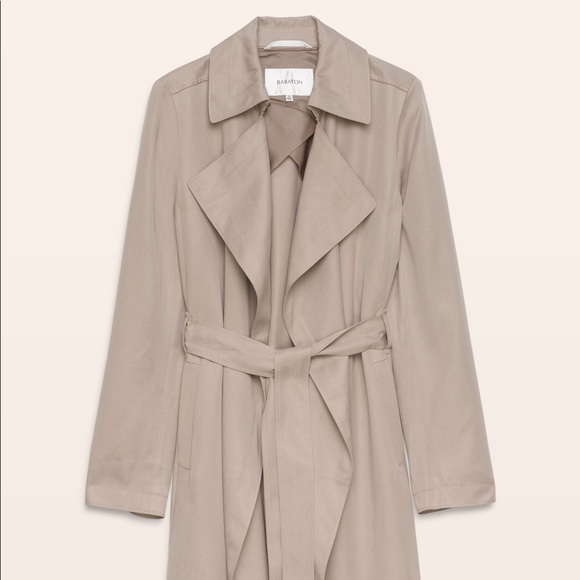 Aritzia Babaton “Maximo Trench Coat” - Picture 4 of 4